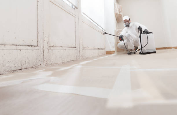 24/7 Emergency Attic Mold Removal experts in Jamaica Plain, MA